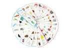 Educational skill game waste segregation learning EKO + 108 cards 5