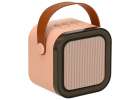 Karaoke speaker 2 microphones pink 3