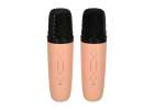 Karaoke speaker 2 microphones pink 8