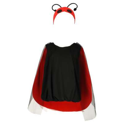 Ladybird costume size S