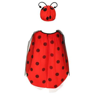 Ladybird costume size S