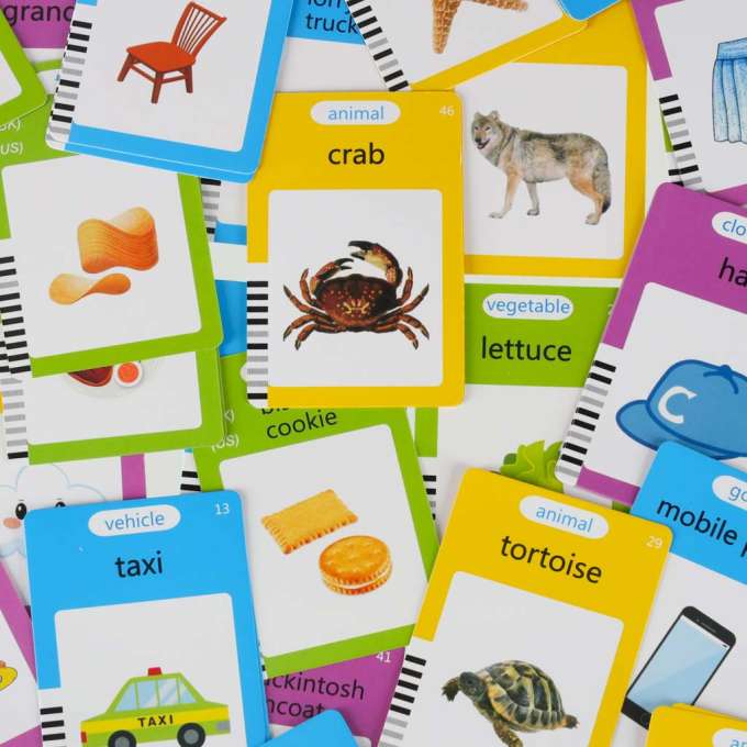 Card reader for learning English vocabulary fade 8.5'' fiche blue