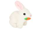 Carrot bunny rabbit walks wiggles ears 3