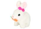 Carrot bunny rabbit walks wiggles ears 5
