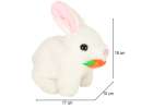 Carrot bunny rabbit walks wiggles ears 15
