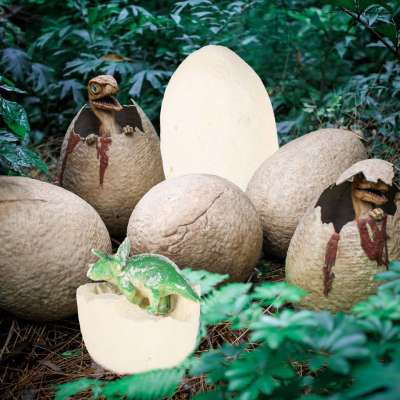 Dinosaurs excavation dinosaur eggs figures archaeological set 12 eggs