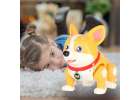 Interactive Corgi dog with glowing ears 8