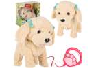 Interactive Puppy on a Leash Barking Walking and Tail-Wagging - Poodle 1