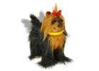 Interactive dog reacts to touch, moves, walks, barks York 8