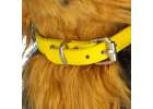 Interactive dog reacts to touch, moves, walks, barks York 10