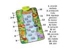 Interactive playing musical educational mat animals 13