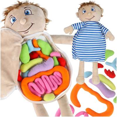 Mascot doll learning anatomy boy