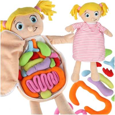 Mascot doll learning anatomy girl