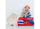 Travel cushion 2in1 neck roll for aeroplane car mascot cat 4