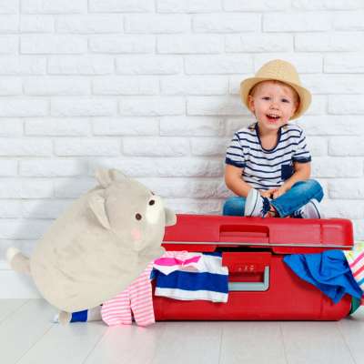 Travel cushion 2in1 neck roll for aeroplane car mascot cat