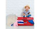 Travel cushion 2in1 neck roll for aeroplane car teddy bear mascot 9