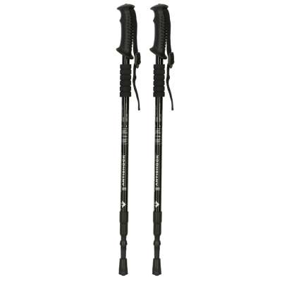 Trekking poles for Nordic walking folding 2 pieces black