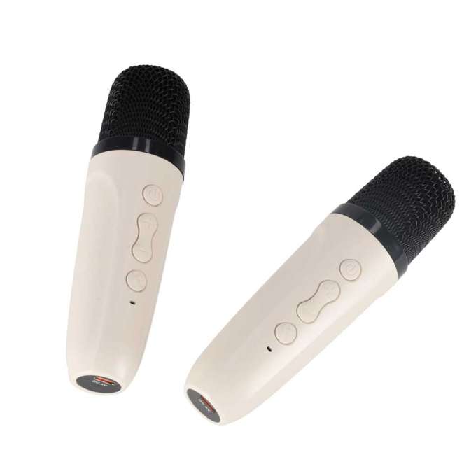 Bluetooth speaker RGB karaoke set 2 USB microphones