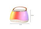 Bluetooth speaker RGB karaoke set 2 USB microphones 10