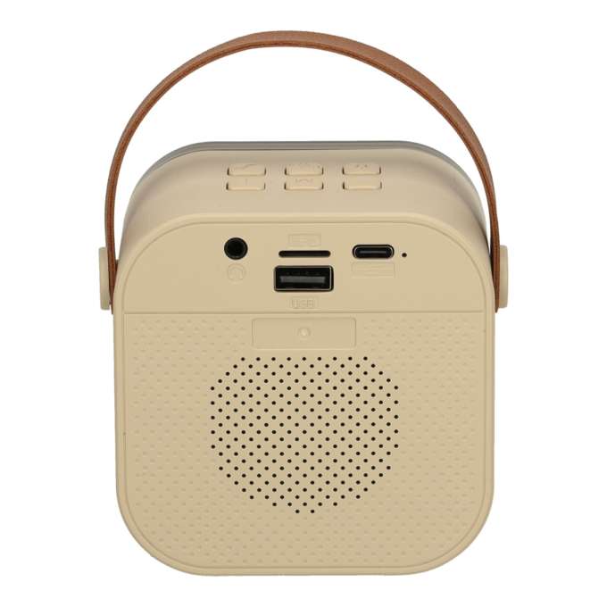 Karaoke speaker 2 microphones white