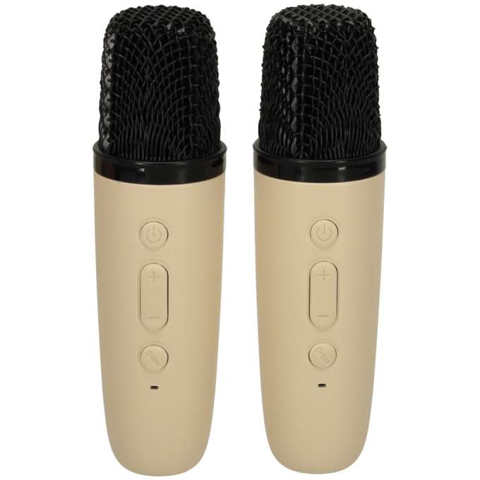 Karaoke speaker 2 microphones white
