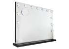 LED makeup mirror with 15 bulbs cosmetic zoom x10 brightness adjustment 18