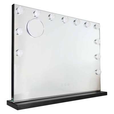 LED makeup mirror with 15 bulbs cosmetic zoom x10 brightness adjustment