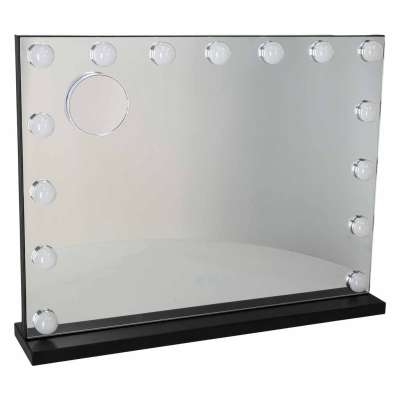 LED makeup mirror with 15 bulbs cosmetic zoom x10 brightness adjustment