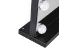 LED makeup mirror with 15 bulbs cosmetic zoom x10 brightness adjustment 5