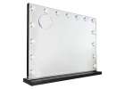 LED makeup mirror with 15 bulbs cosmetic zoom x10 brightness adjustment 2