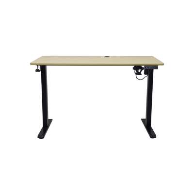Electric height-adjustable desk with memory function and control panel 120x60 cm wood