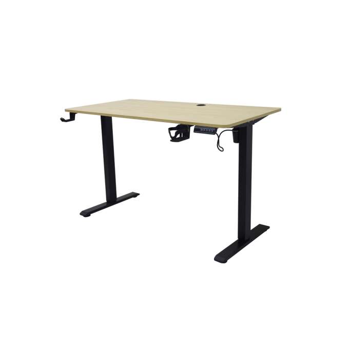 Electric height-adjustable desk with memory function and control panel 120x60 cm wood