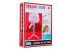 Microphone on a stand karaoke set for kids MP3 player sound effects 12