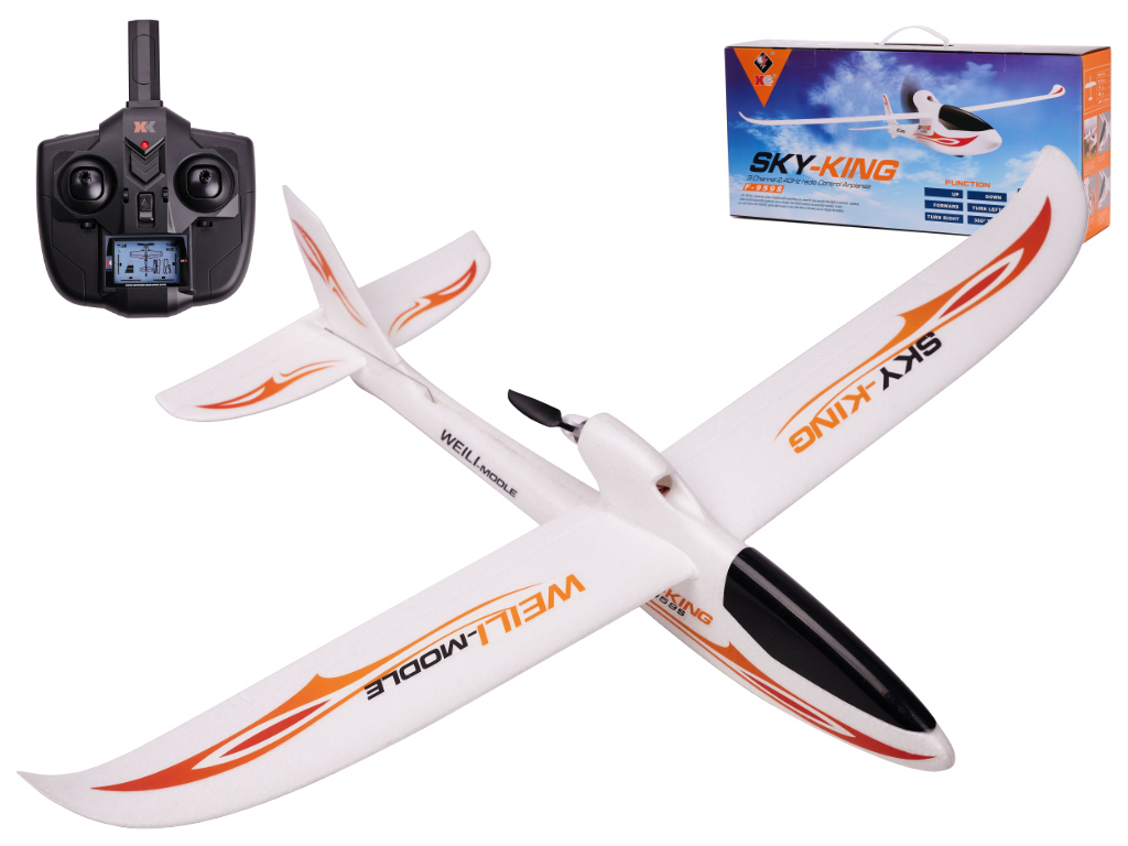 WLtoys Sky King F959S 2,4GHz RC-Fernsteuerflugzeug